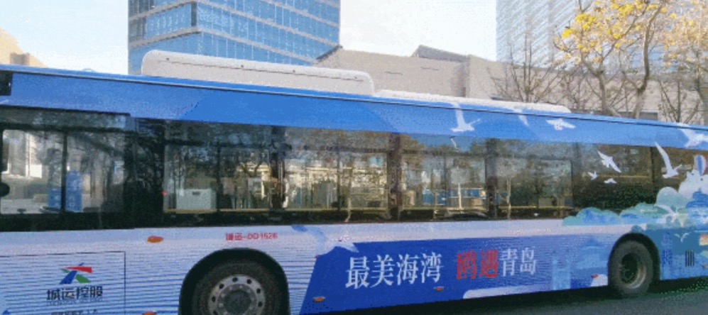 1735629562629.jpg